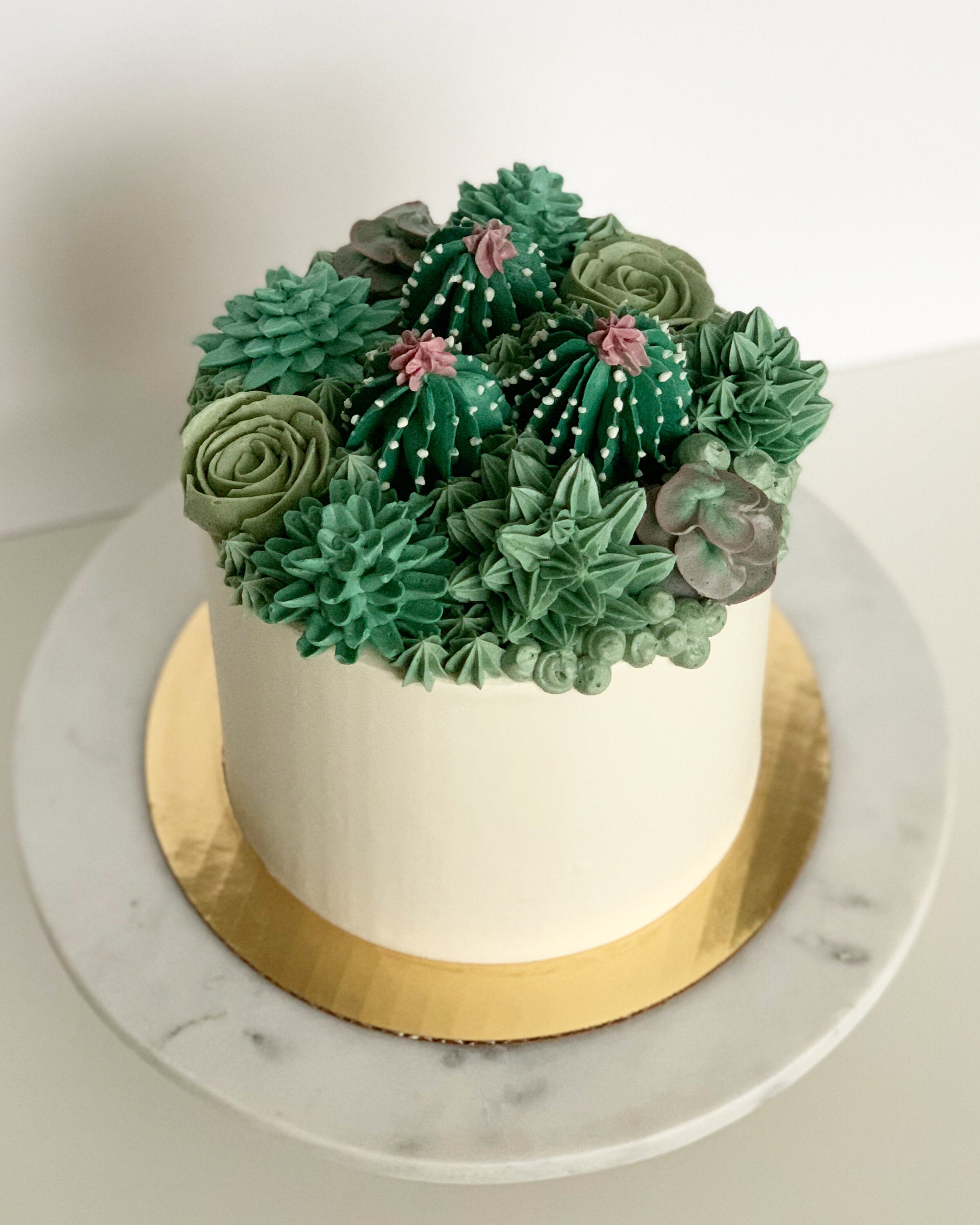 Sweet Succulent Cake in Miami, FL | Flowers To Go Miami